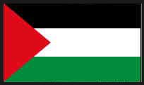 Palestine Live Cam