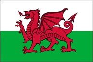 wales Live Cam