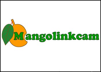 mangolinkworld.com